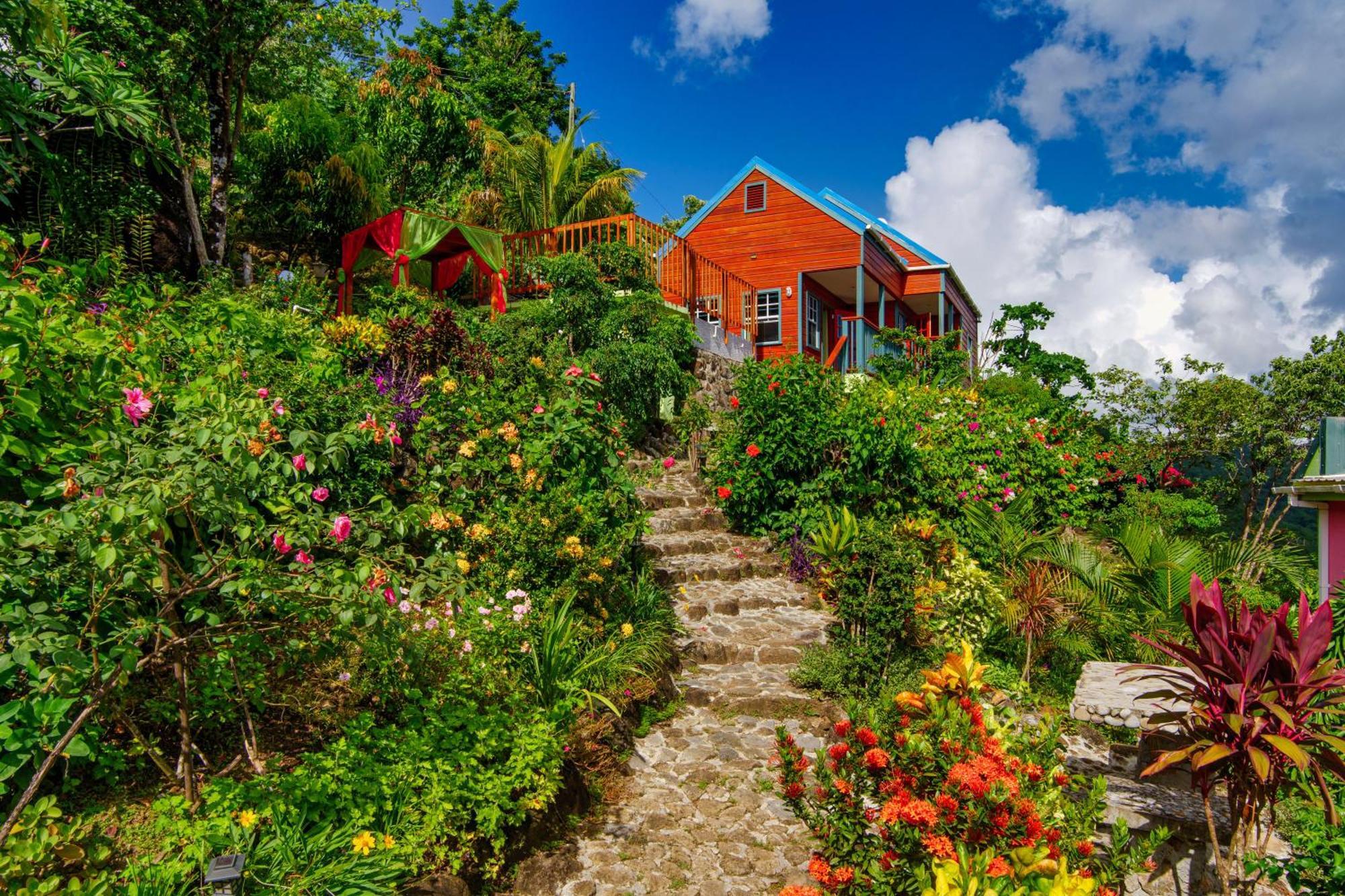 Tropical Paradise View Anse La Raye Exteriér fotografie